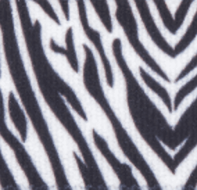 Wzór zebra